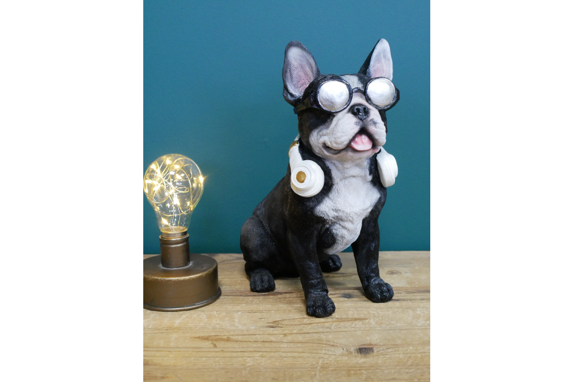Dog With Headphones