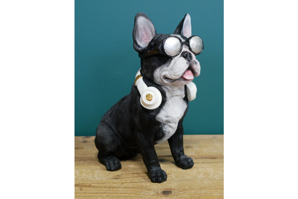 Dog With Headphones
