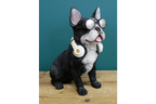 Dog With Headphones