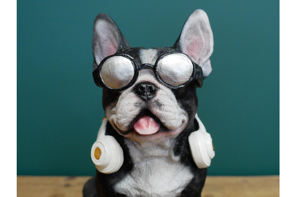 Dog With Headphones