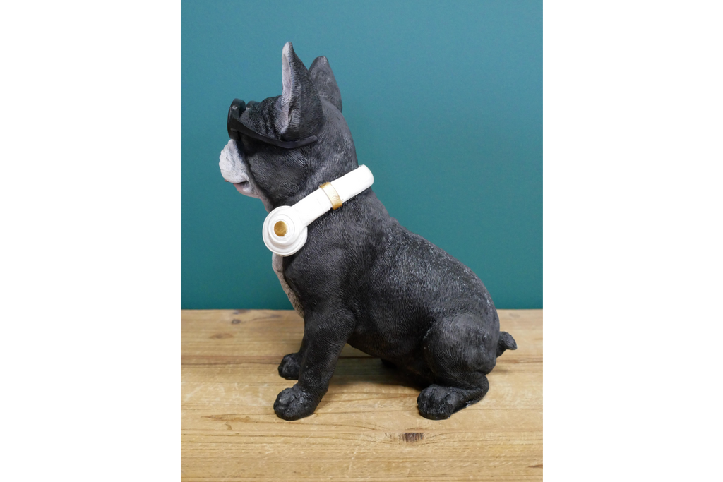 Dog With Headphones