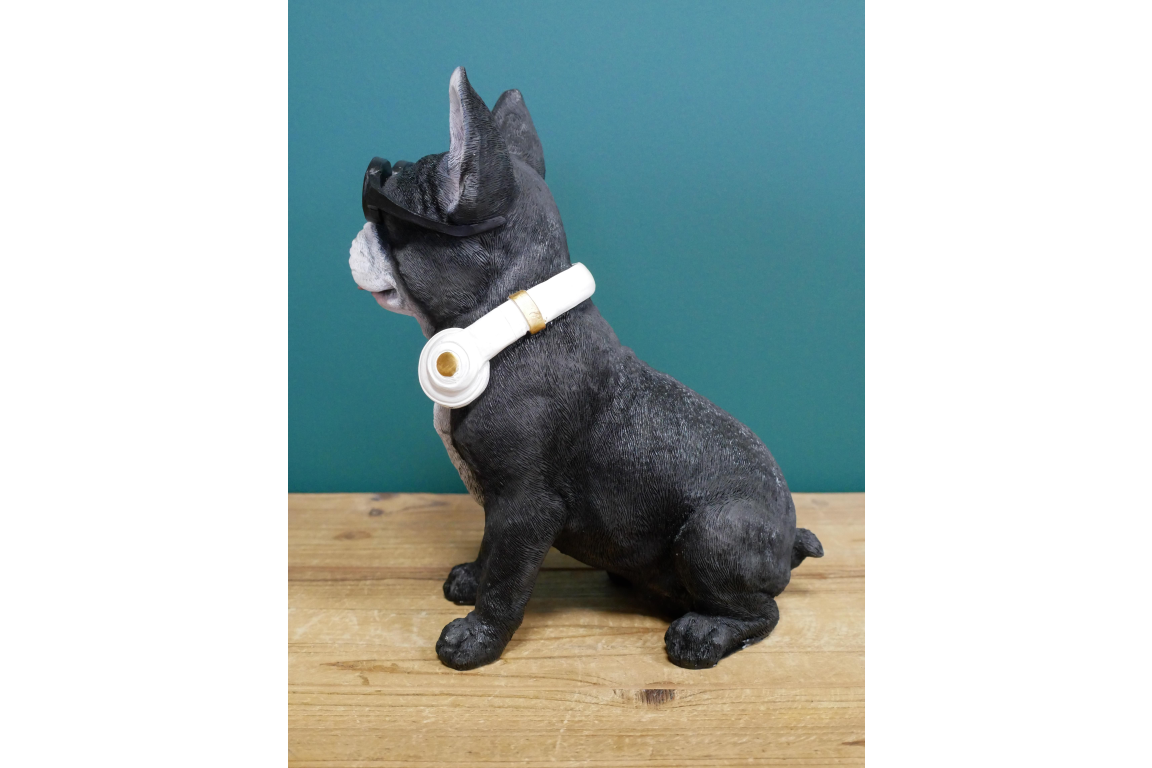Dog With Headphones