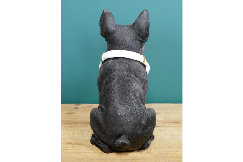 Dog With Headphones