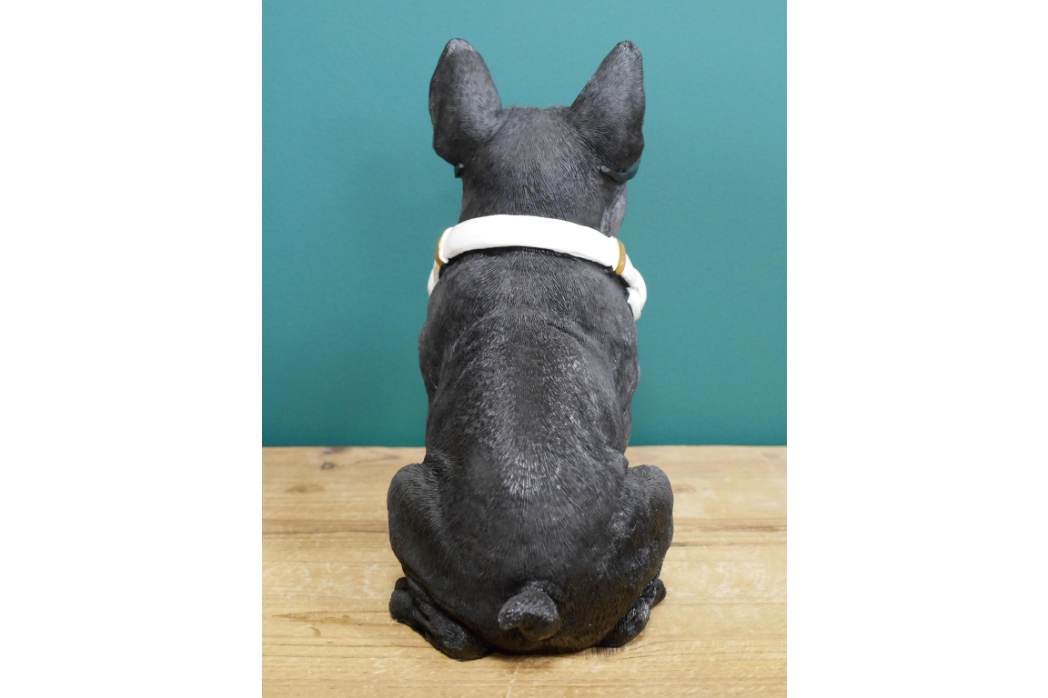 Dog With Headphones