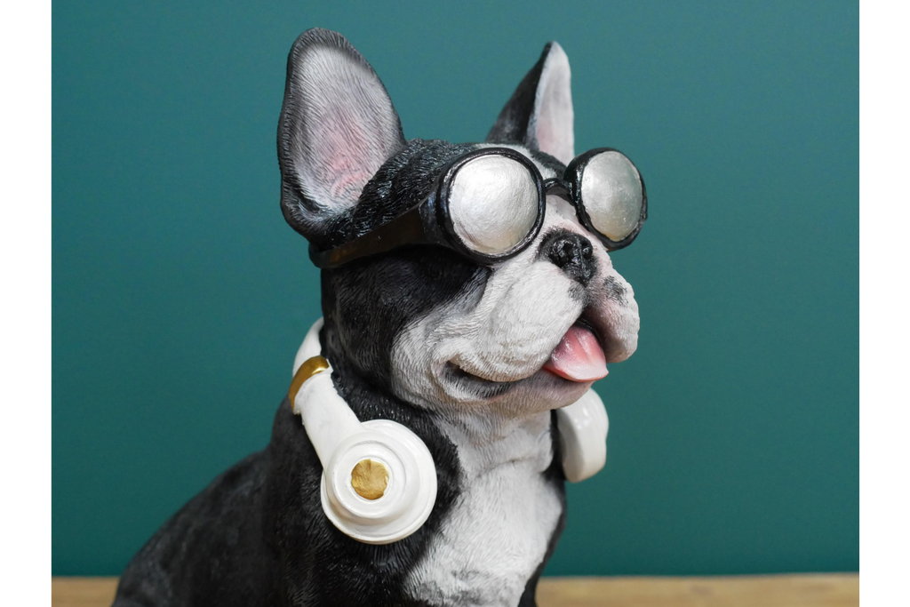 Dog With Headphones