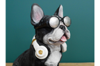Dog With Headphones