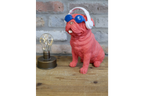 Dog With Headphones