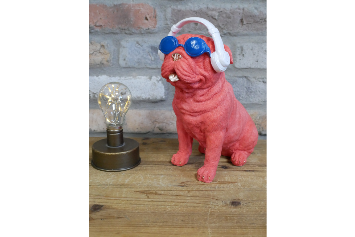 Dog With Headphones