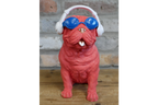 Dog With Headphones