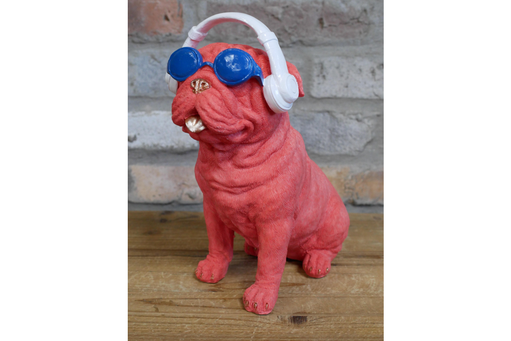 Dog With Headphones