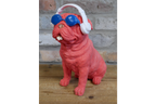 Dog With Headphones