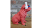 Dog With Headphones