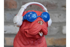 Dog With Headphones
