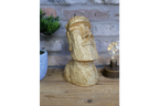 Easter Island Head