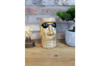 Easter Island Head