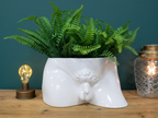 Man Planter