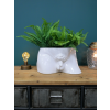 Man Planter