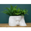 Man Planter