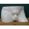 Man Planter
