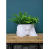 Man Planter
