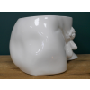 Man Planter
