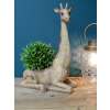 Giraffe Planter