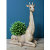 Giraffe Planter