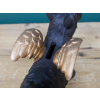 Dog Coin Bank