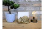 Monkey Napkin/Letter Holder