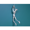 Climbing Man