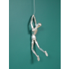 Climbing Man