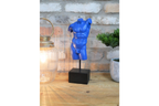 Blue Charles