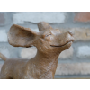 Dog In The Wind