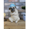 Arms Crossed Bulldog