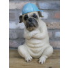 Arms Crossed Bulldog