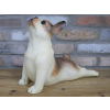 Stretching Dog