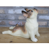 Stretching Dog