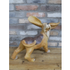 Big Ears Dog