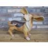 Big Ears Dog