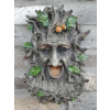Treeman Bird Feeder