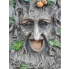 Treeman Bird Feeder