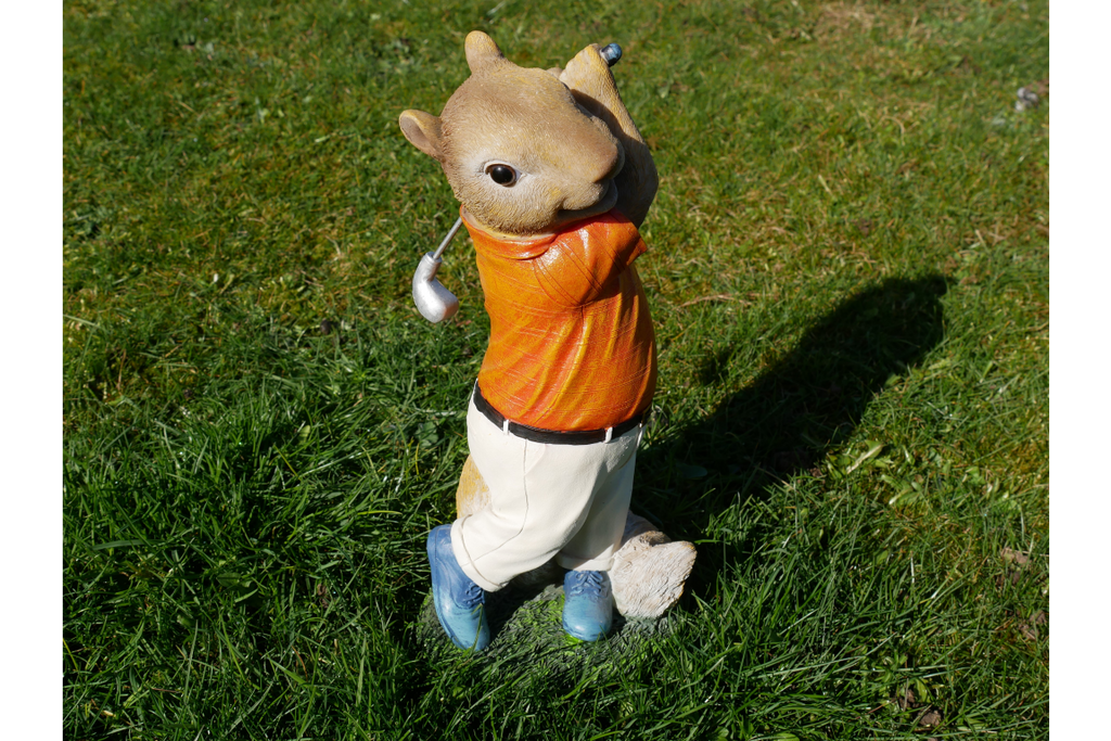 Squirrel Golfer