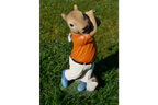 Squirrel Golfer