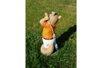 Squirrel Golfer