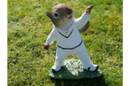 Squirrel Bowler