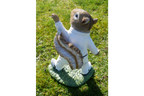 Squirrel Bowler