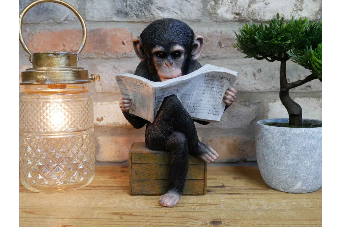 Monkey Reading The News