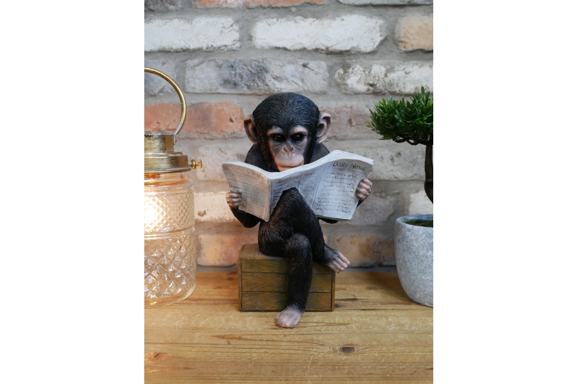Monkey Reading The News