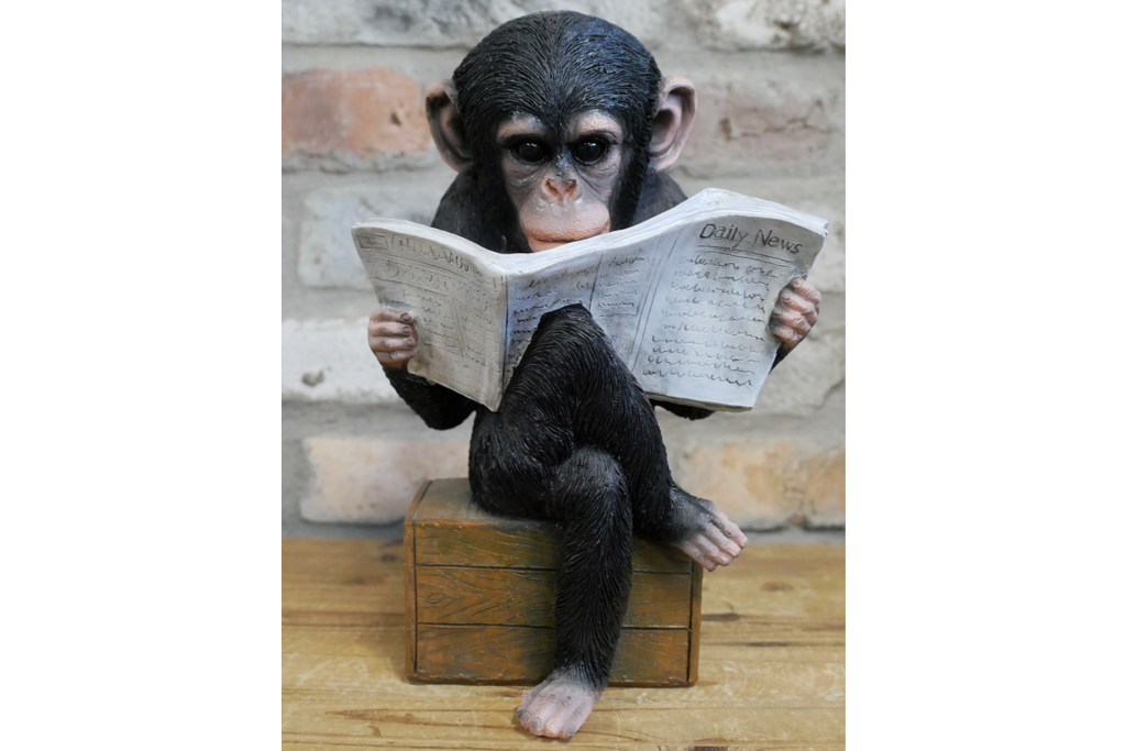 Monkey Reading The News