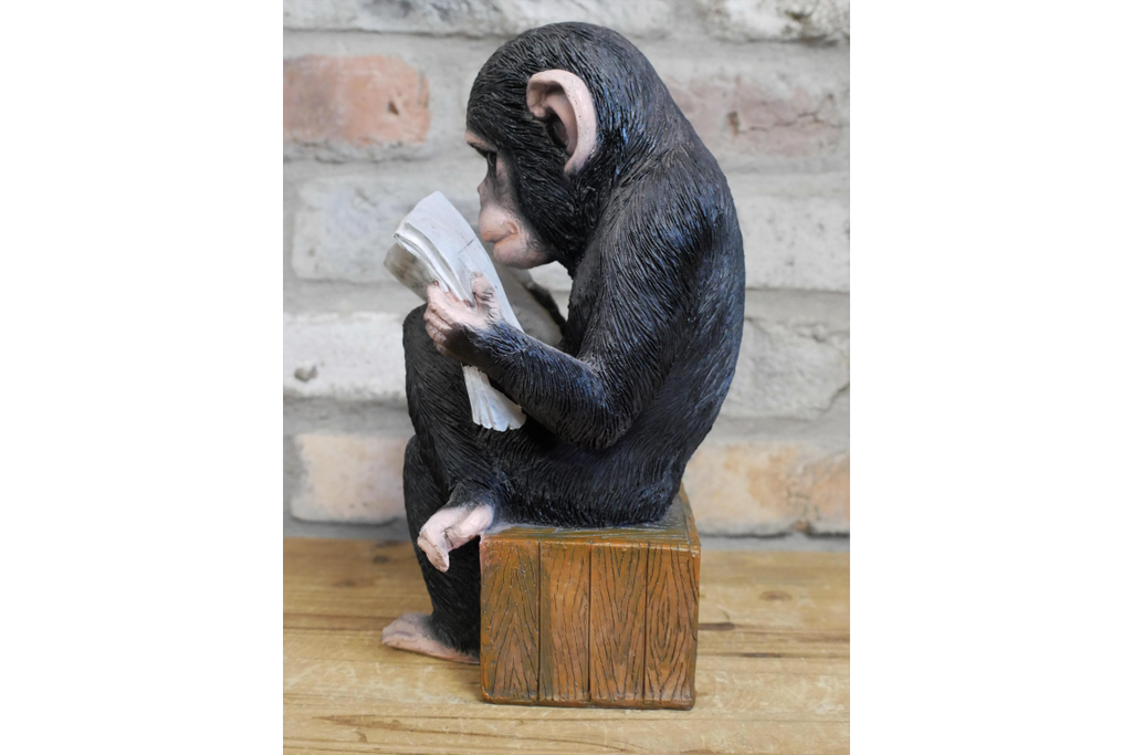 Monkey Reading The News
